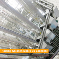 Tianrui New Raising Equipment A Type Automatic Broiler Cage System